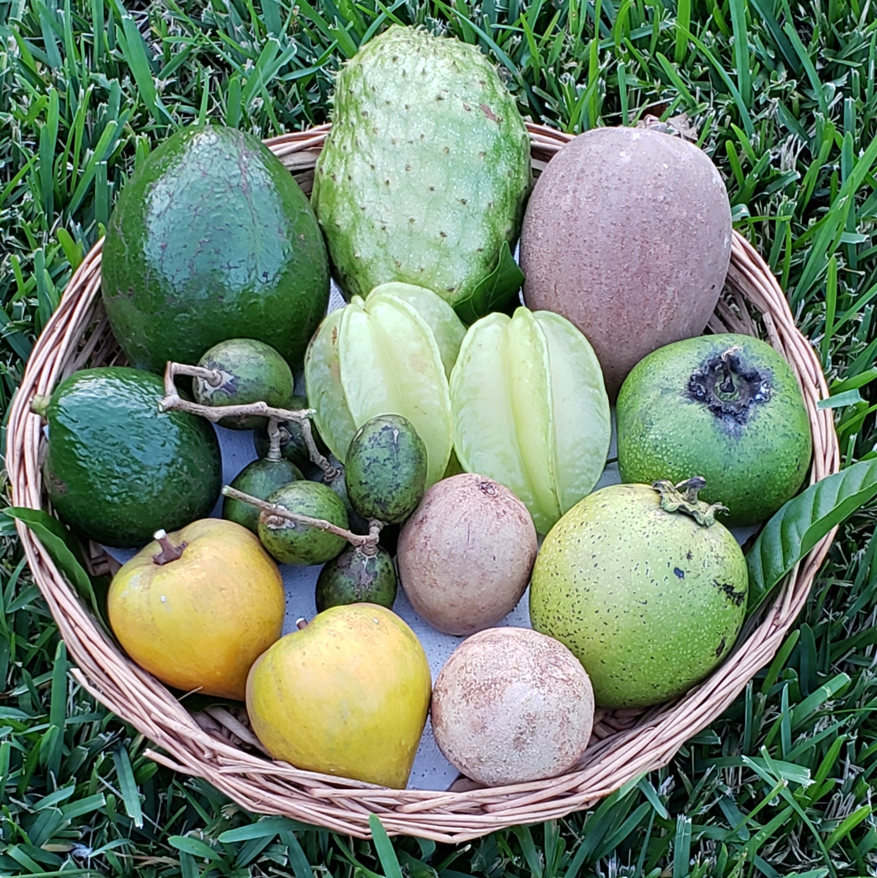 fruit basket, Dec 2020.jpg
